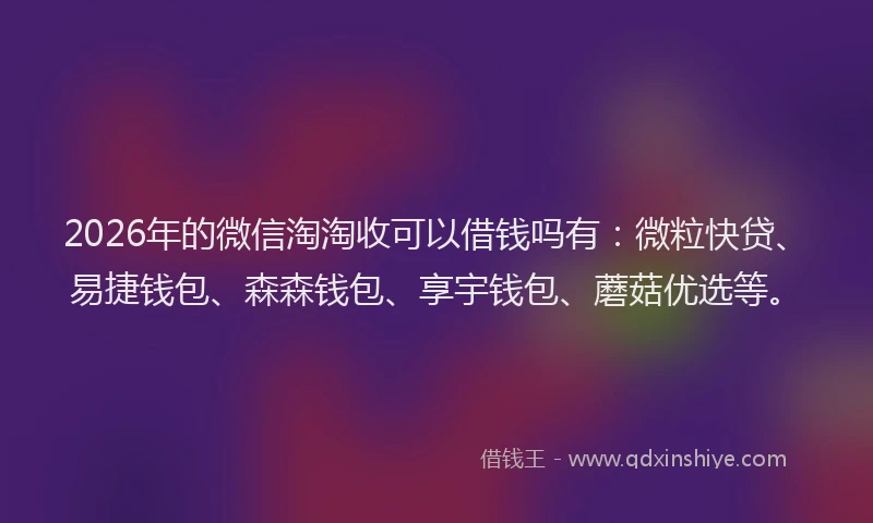 2026年的微信淘淘收可以借钱吗有：微粒快贷、易捷钱包、森森钱包、享宇钱包、蘑菇优选等。