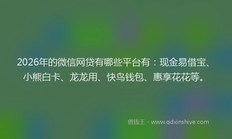 2026年的微信网贷有哪些平台有：现金易借宝、小熊白卡、龙龙用、快鸟钱包、惠享花花等。