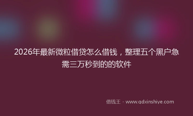 2026年最新微粒借贷怎么借钱，整理五个黑户急需三万秒到的的软件