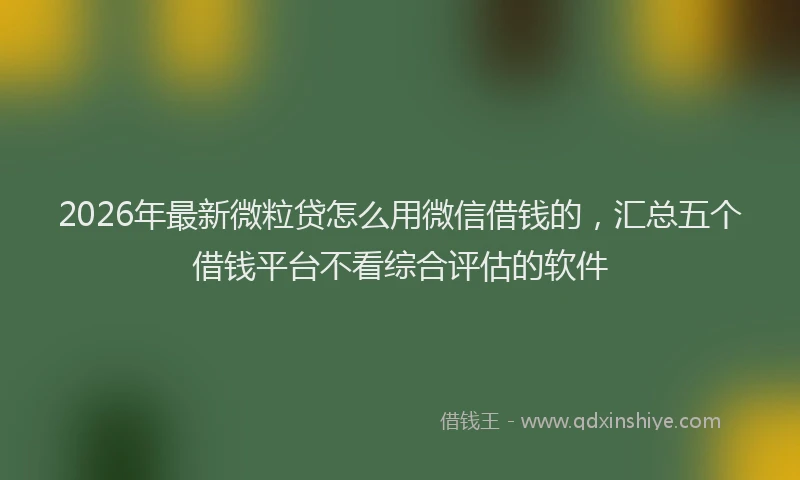 2026年最新微粒贷怎么用微信借钱的，汇总五个借钱平台不看综合评估的软件