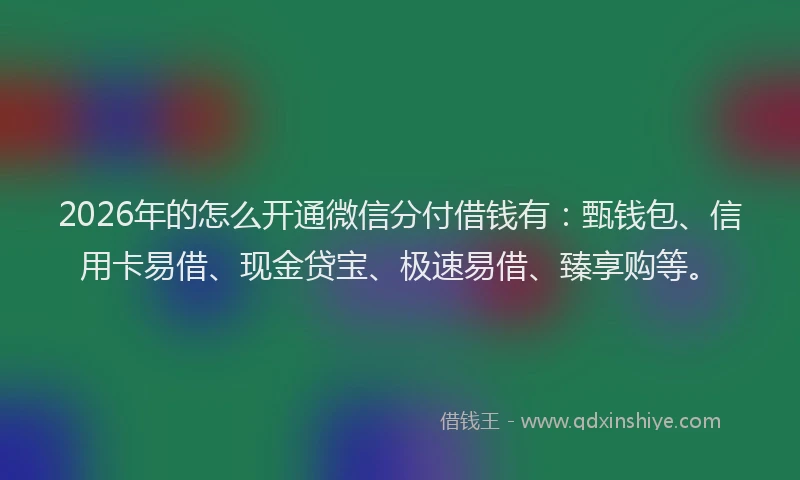 2026年的怎么开通微信分付借钱有：甄钱包、信用卡易借、现金贷宝、极速易借、臻享购等。