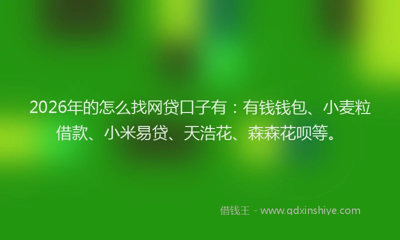 2026年的怎么找网贷口子有:有钱钱包、小麦粒借款、小米易贷、天浩花、森森花呗等。