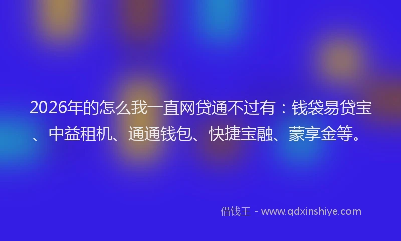 2026年的怎么我一直网贷通不过有：钱袋易贷宝、中益租机、通通钱包、快捷宝融、蒙享金等。