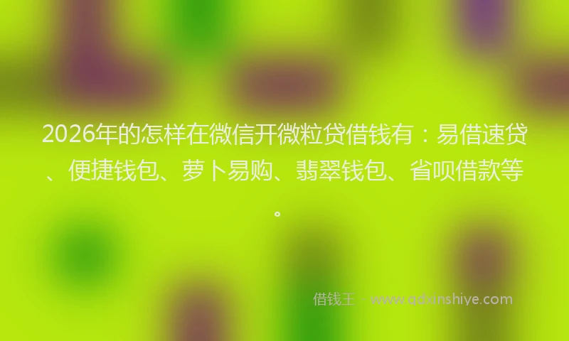 2026年的怎样在微信开微粒贷借钱有：易借速贷、便捷钱包、萝卜易购、翡翠钱包、省呗借款等。