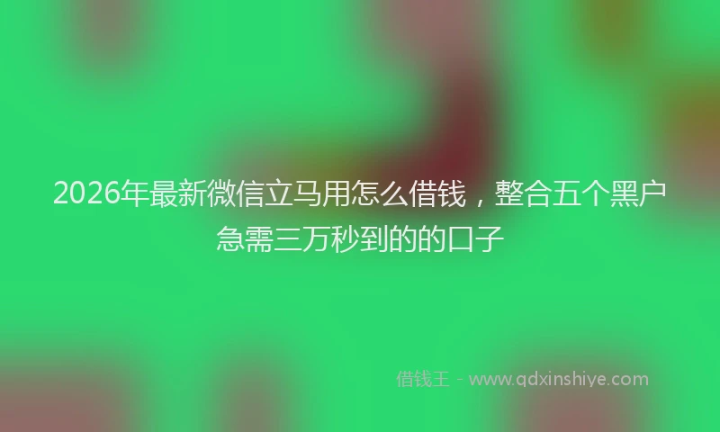 2026年最新微信立马用怎么借钱，整合五个黑户急需三万秒到的的口子