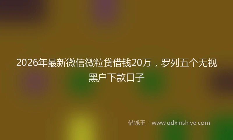 2026年最新微信微粒贷借钱20万，罗列五个无视黑户下款口子