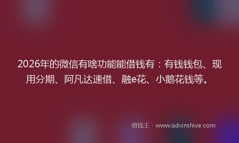 2026年的微信有啥功能能借钱有：有钱钱包、现用分期、阿凡达速借、融e花、小鹅花钱等。