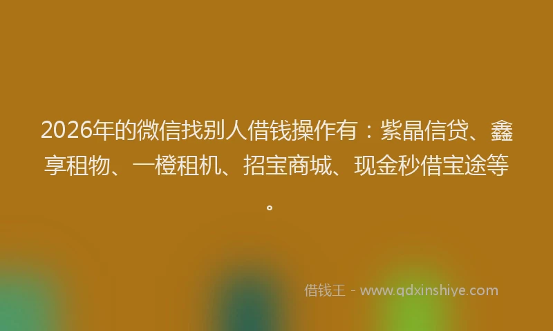 2026年的微信找别人借钱操作有：紫晶信贷、鑫享租物、一橙租机、招宝商城、现金秒借宝途等。