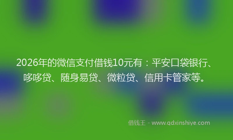 2026年的微信支付借钱10元有：平安口袋银行、哆哆贷、随身易贷、微粒贷、信用卡管家等。
