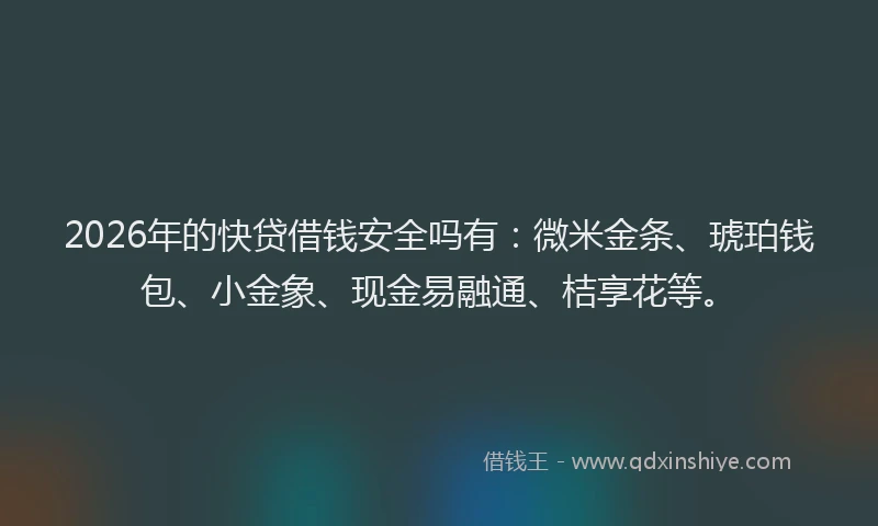 2026年的快贷借钱安全吗有：微米金条、琥珀钱包、小金象、现金易融通、桔享花等。