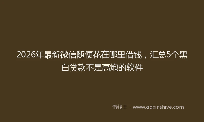 2026年最新微信随便花在哪里借钱，汇总5个黑白贷款不是高炮的软件