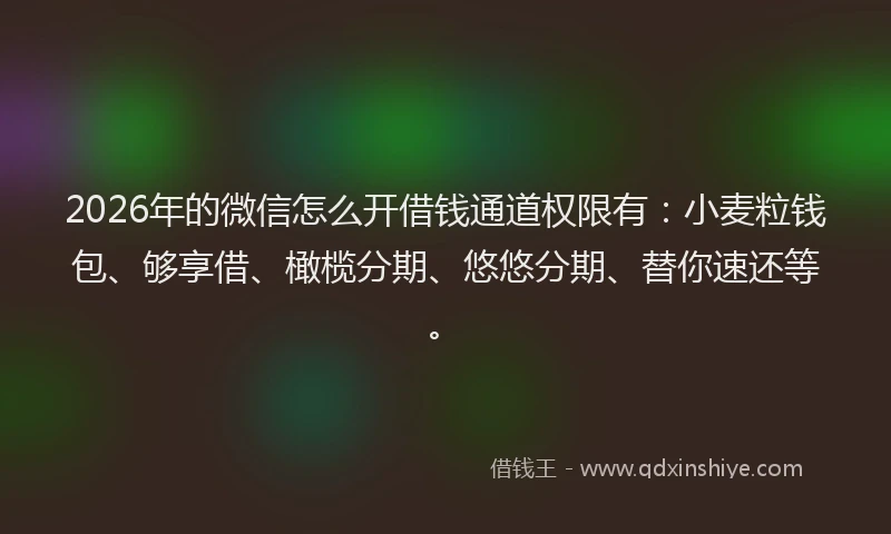 2026年的微信怎么开借钱通道权限有：小麦粒钱包、够享借、橄榄分期、悠悠分期、替你速还等。