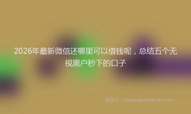 2026年最新微信还哪里可以借钱呢，总结五个无视黑户秒下的口子