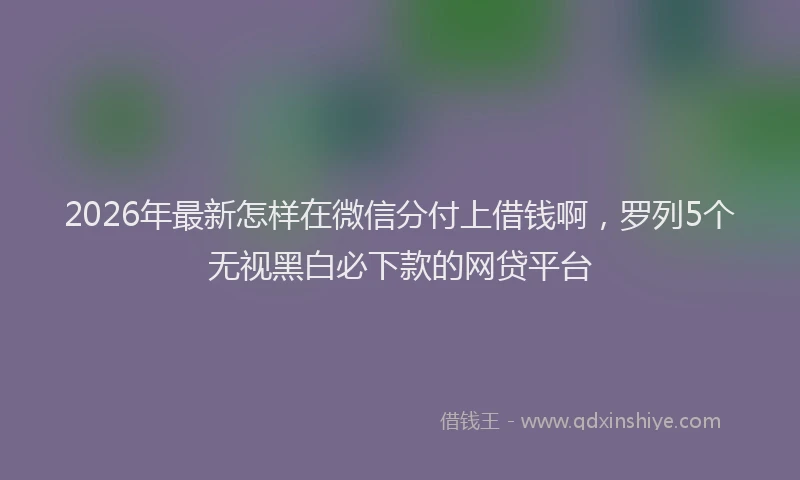 2026年最新怎样在微信分付上借钱啊，罗列5个无视黑白必下款的网贷平台