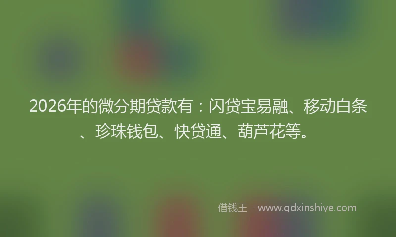 2026年的微分期贷款有：闪贷宝易融、移动白条、珍珠钱包、快贷通、葫芦花等。