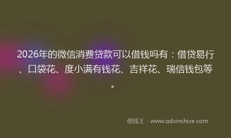 2026年的微信消费贷款可以借钱吗有：借贷易行、口袋花、度小满有钱花、吉祥花、瑞信钱包等。