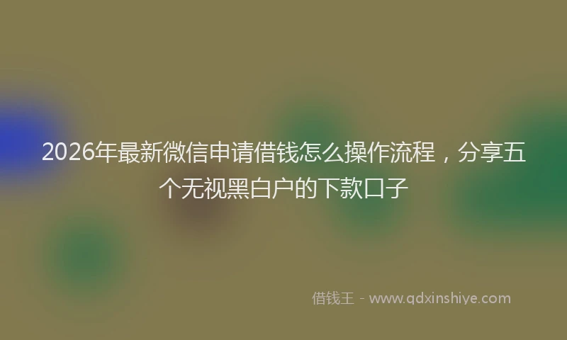 2026年最新微信申请借钱怎么操作流程，分享五个无视黑白户的下款口子
