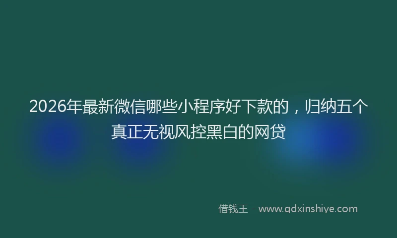 2026年最新微信哪些小程序好下款的，归纳五个真正无视风控黑白的网贷