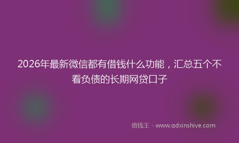 2026年最新微信都有借钱什么功能，汇总五个不看负债的长期网贷口子
