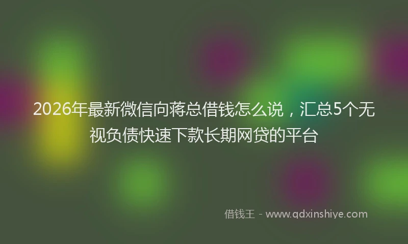 2026年最新微信向蒋总借钱怎么说，汇总5个无视负债快速下款长期网贷的平台