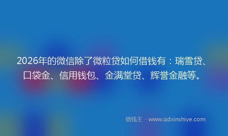 2026年的微信除了微粒贷如何借钱有：瑞雪贷、口袋金、信用钱包、金满堂贷、辉誉金融等。