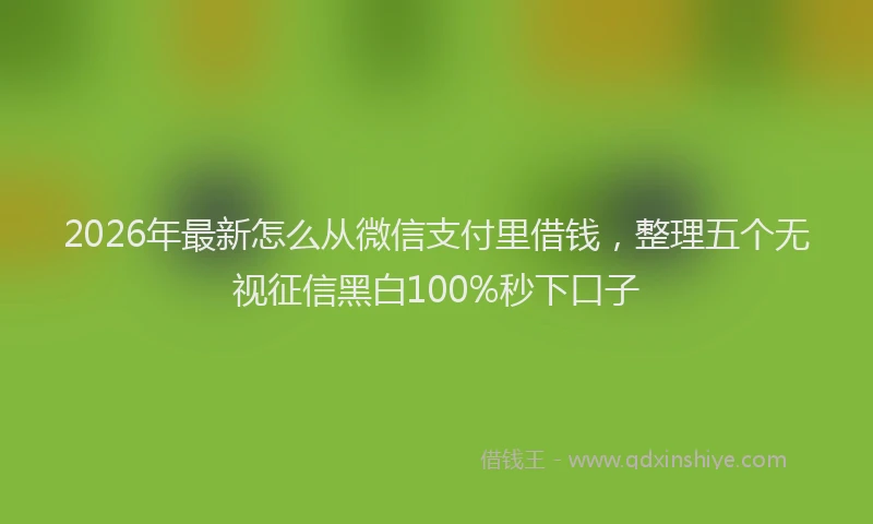 2026年最新怎么从微信支付里借钱,整理五个无视征信黑白100%秒下口子