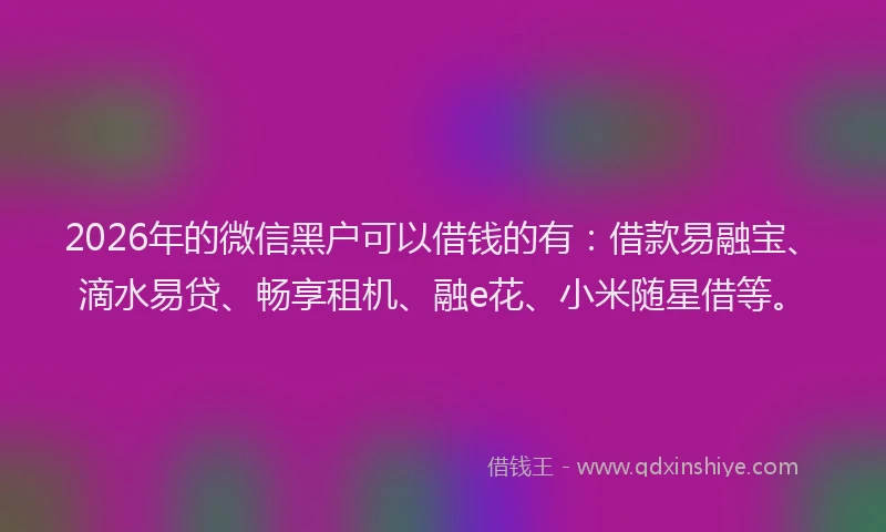 2026年的微信黑户可以借钱的有：借款易融宝、滴水易贷、畅享租机、融e花、小米随星借等。