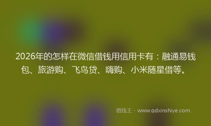 2026年的怎样在微信借钱用信用卡有：融通易钱包、旅游购、飞鸟贷、嗨购、小米随星借等。