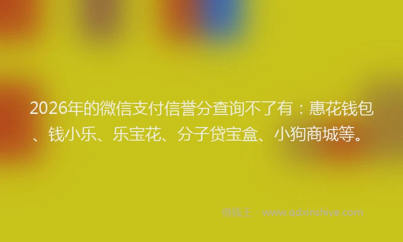 2026年的微信支付信誉分查询不了有：惠花钱包、钱小乐、乐宝花、分子贷宝盒、小狗商城等。