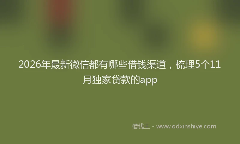 2026年最新微信都有哪些借钱渠道，梳理5个11月独家贷款的app