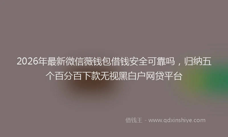 2026年最新微信薇钱包借钱安全可靠吗，归纳五个百分百下款无视黑白户网贷平台