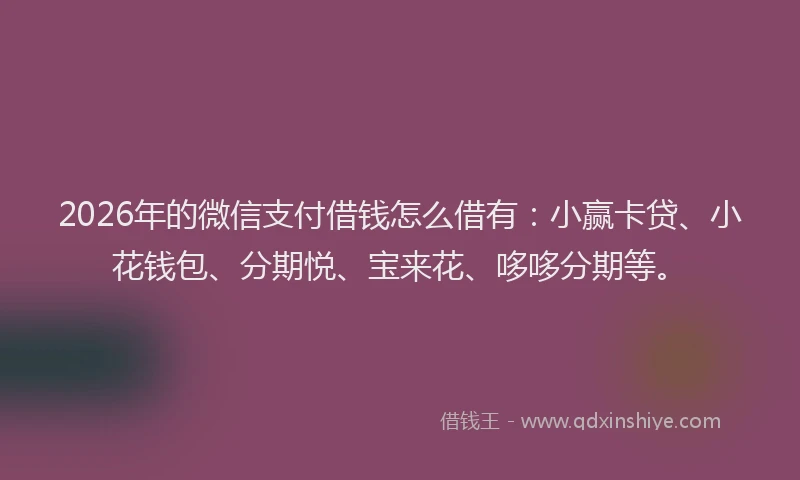 2026年的微信支付借钱怎么借有：小赢卡贷、小花钱包、分期悦、宝来花、哆哆分期等。