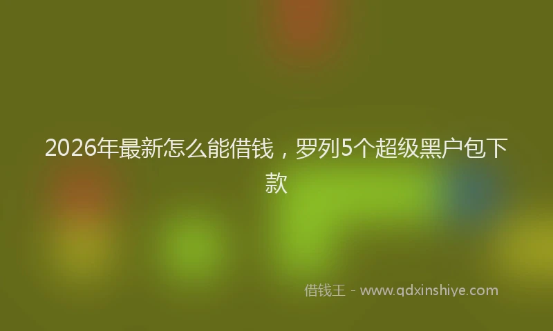 2026年最新怎么能借钱，罗列5个超级黑户包下款
