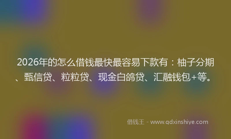 2026年的怎么借钱最快最容易下款有：柚子分期、甄信贷、粒粒贷、现金白鸽贷、汇融钱包+等。