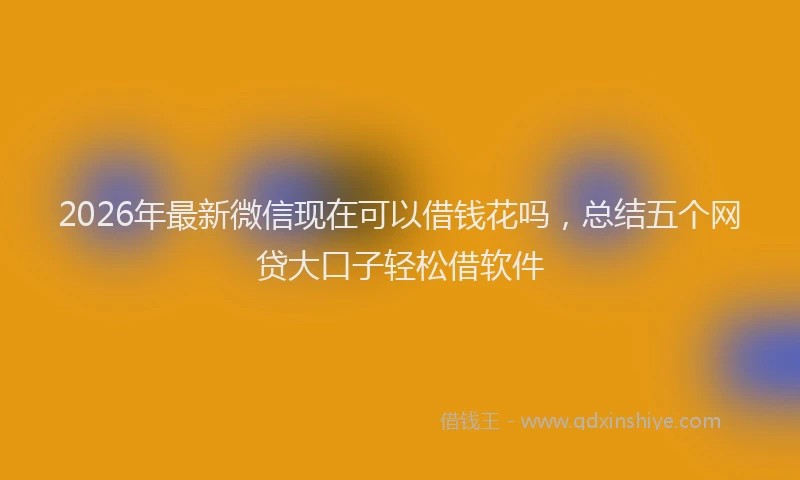 2026年最新微信现在可以借钱花吗，总结五个网贷大口子轻松借软件