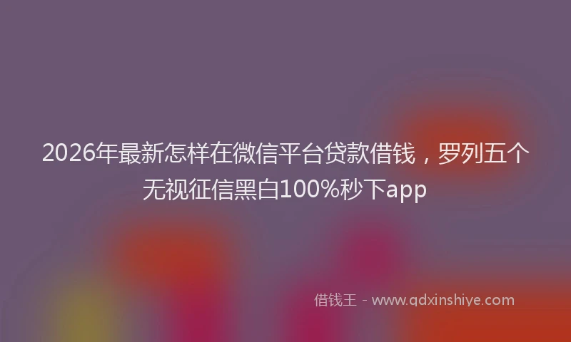 2026年最新怎样在微信平台贷款借钱，罗列五个无视征信黑白100%秒下app