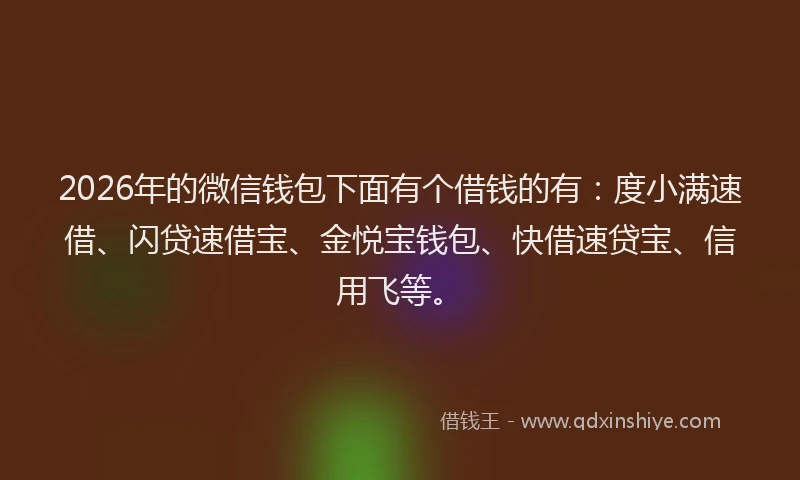 2026年的微信钱包下面有个借钱的有：度小满速借、闪贷速借宝、金悦宝钱包、快借速贷宝、信用飞等。