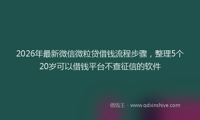 2026年最新微信微粒贷借钱流程步骤，整理5个20岁可以借钱平台不查征信的软件