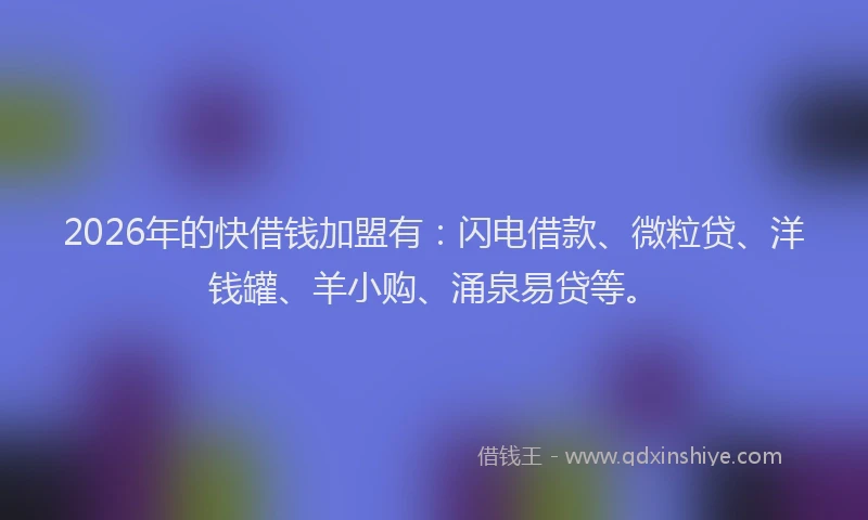2026年的快借钱加盟有：闪电借款、微粒贷、洋钱罐、羊小购、涌泉易贷等。