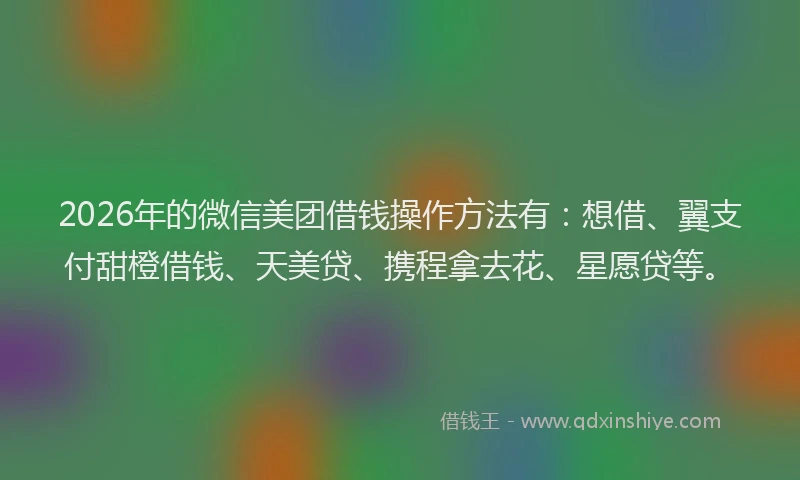 2026年的微信美团借钱操作方法有：想借、翼支付甜橙借钱、天美贷、携程拿去花、星愿贷等。