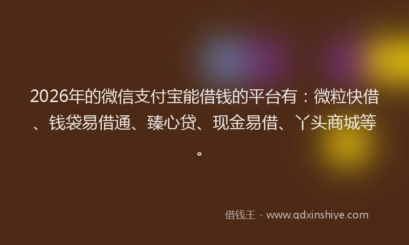 2026年的微信支付宝能借钱的平台有：微粒快借、钱袋易借通、臻心贷、现金易借、丫头商城等。