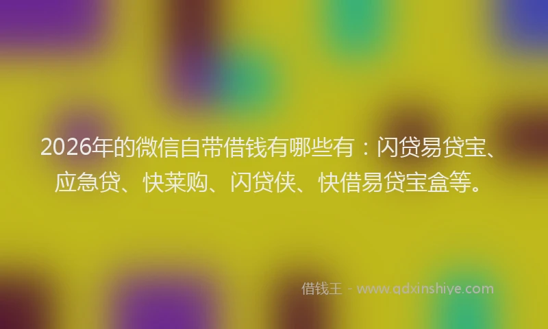 2026年的微信自带借钱有哪些有：闪贷易贷宝、应急贷、快莱购、闪贷侠、快借易贷宝盒等。