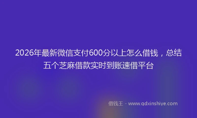 2026年最新微信支付600分以上怎么借钱，总结五个芝麻借款实时到账速借平台
