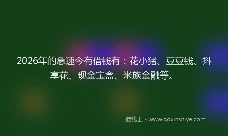 2026年的急速今有借钱有：花小猪、豆豆钱、抖享花、现金宝盒、米族金融等。