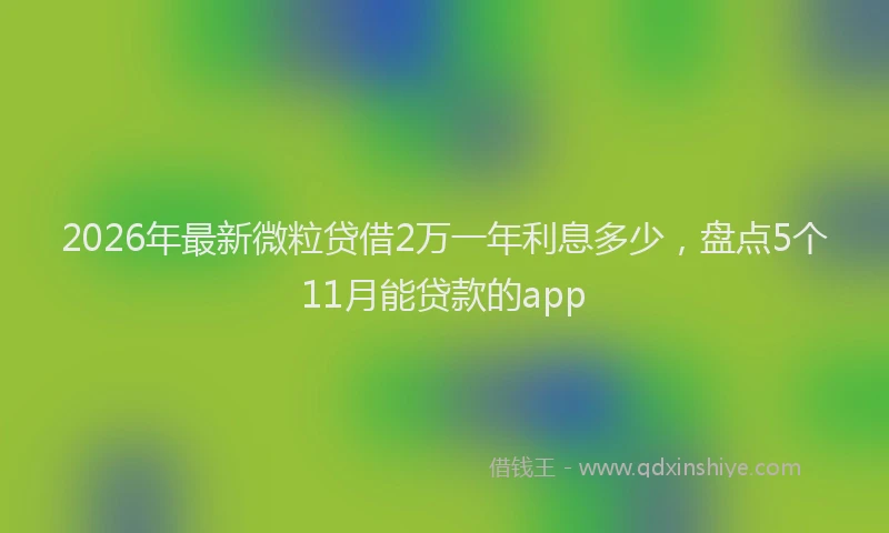 2026年最新微粒贷借2万一年利息多少，盘点5个11月能贷款的app