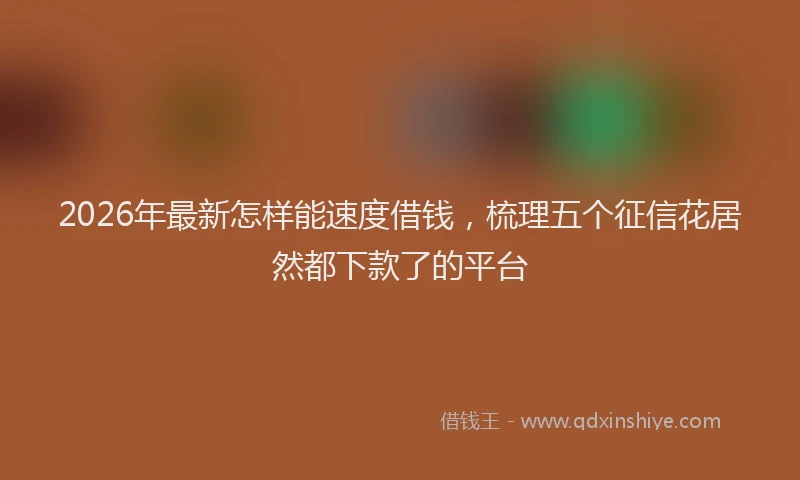 2026年最新怎样能速度借钱，梳理五个征信花居然都下款了的平台