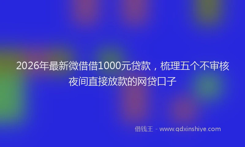 2026年最新微借借1000元贷款，梳理五个不审核夜间直接放款的网贷口子