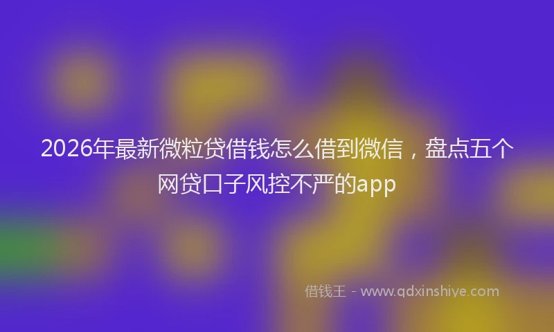 2026年最新微粒贷借钱怎么借到微信，盘点五个网贷口子风控不严的app