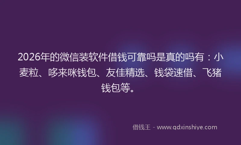 2026年的微信装软件借钱可靠吗是真的吗有：小麦粒、哆来咪钱包、友佳精选、钱袋速借、飞猪钱包等。