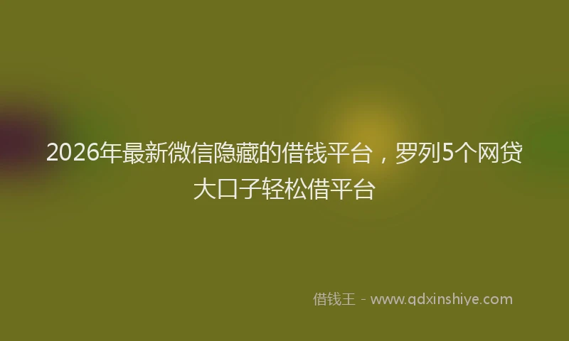 2026年最新微信隐藏的借钱平台，罗列5个网贷大口子轻松借平台